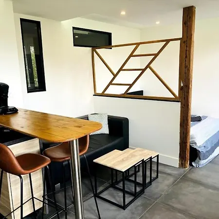Grand Studio Tout Confort Apartament Ambilly